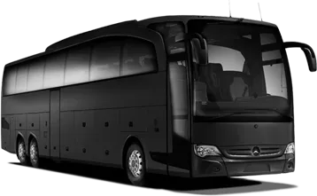 Executive Coaches (25–35)