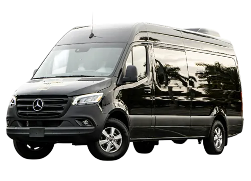 20 passenger party bus