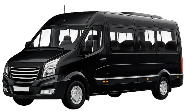 20 passenger party bus